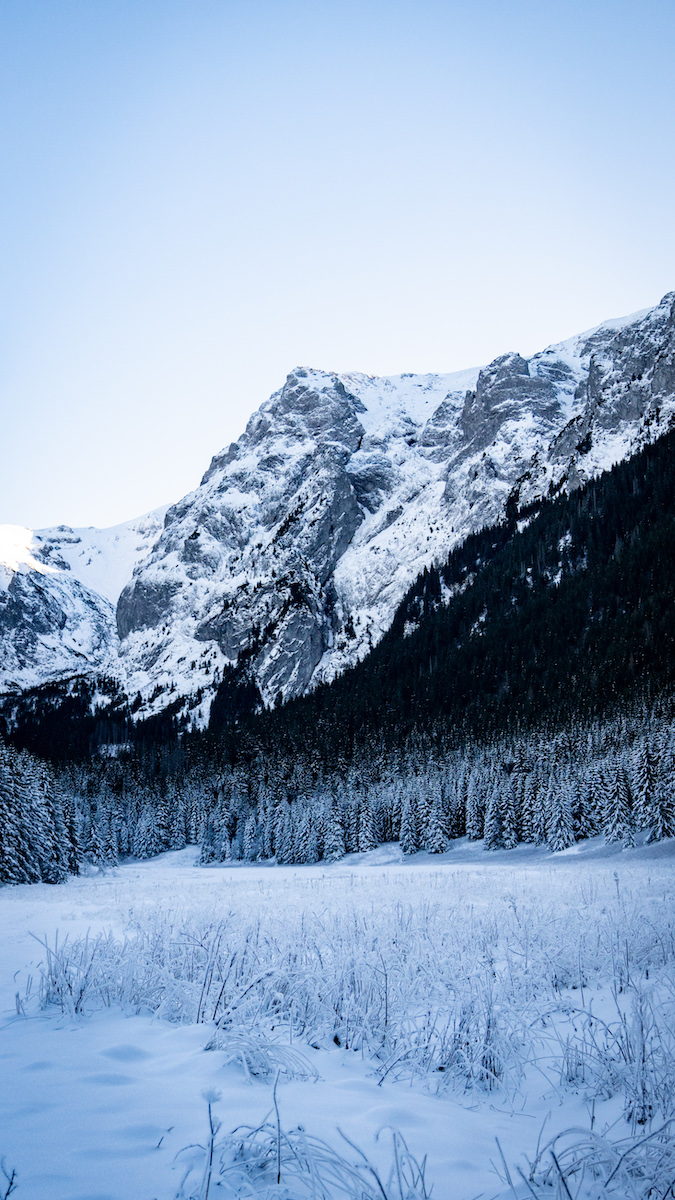 Widok na Tatry z Doliny Małej Łąki.